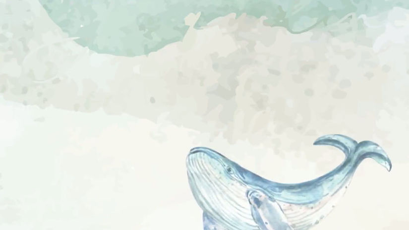 Ballenas